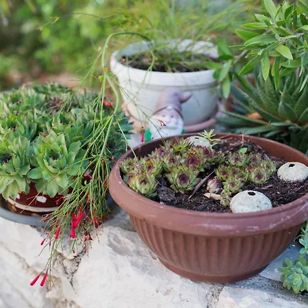 Casa de hóspedes Sanela 3*