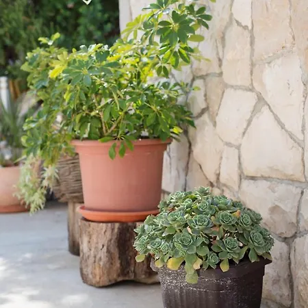 Sanela Pensionat Pomena